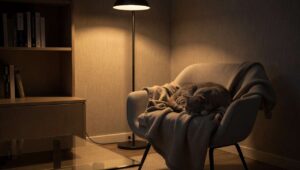 Dlaczego koty preferują konkretne miejsce do spania? odkrycia z przyszłości